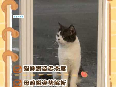 蹲蹲是什么意思？了解网络流行语的最新解释！