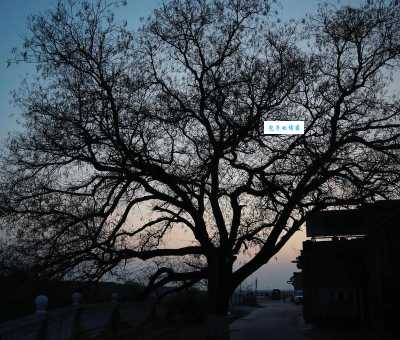 傍晚是什么意思，跟黄昏有区别吗？快来看！