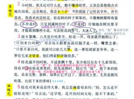 学习摆布的近义词，让你的表达更丰富！