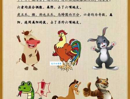 想知道呼应不灵是什么生肖？一文帮你彻底搞懂！