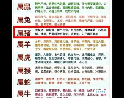 想知道呼应不灵是什么生肖？一文帮你彻底搞懂！