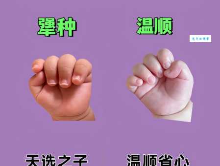 娃娃是什么意思？别再用错了快来看看正确用法！