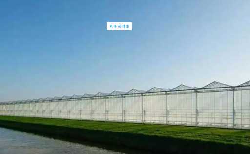 背槽抛粪是什么意思？它在农业中有何作用？