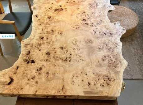 树瘤是什么意思？原来它有这些不为人知的秘密！