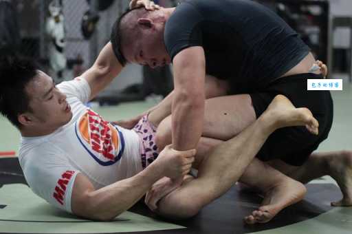 角斗是什么意思啊？快速了解这项残酷又刺激的运动。