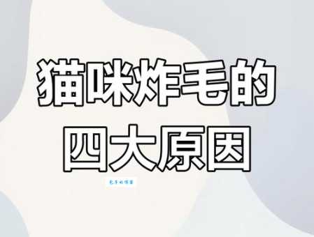 网络上常说的炸毛是什么意思?流行语解析来了!