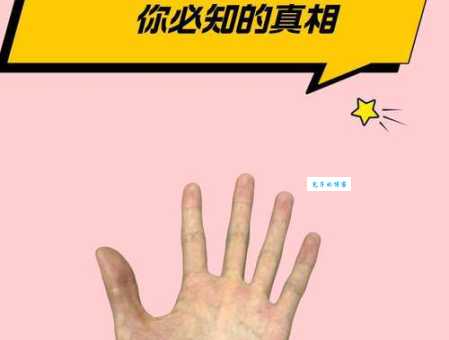 手掌是什么意思？原来还有这么多秘密等你发现！