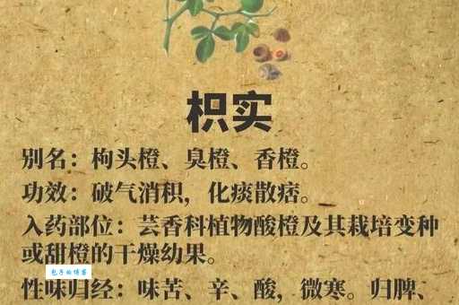 枳道是什么意思?新手快速理解这几个关键点!