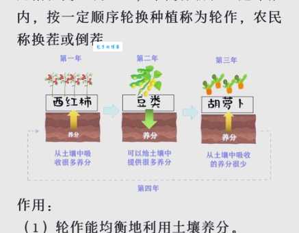 庄稼是什么意思?看完这篇就懂基础知识了!
