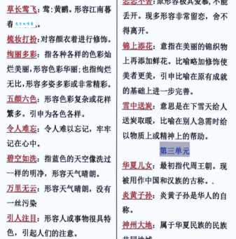 风华正茂的意思怎么理解才对?这些解释让你秒懂!