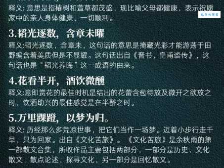 风华正茂的意思怎么理解才对?这些解释让你秒懂!