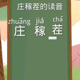 茬字怎么读才对？教你正确发音和用法！
