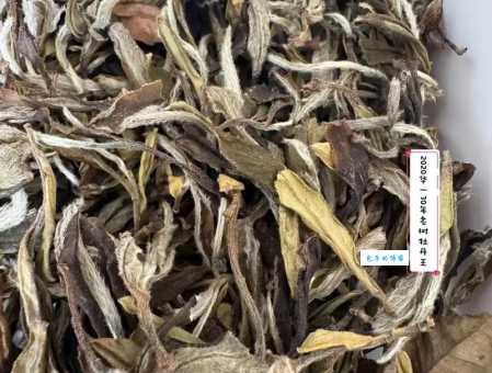 取决于是什么意思？别再问了，答案在这里！