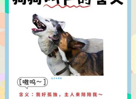 你知道犬吠的意思吗?一篇文章帮你轻松掌握用法