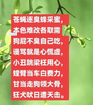 你知道犬吠的意思吗?一篇文章帮你轻松掌握用法