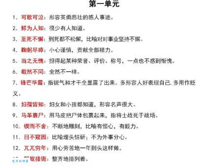 比比皆是是什么意思及成语解释？看完你就知道怎么用了！