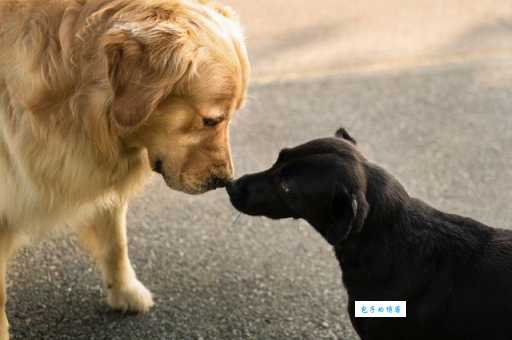 形容环境格格不入的意思，遇到这种社交尴尬该怎么办？