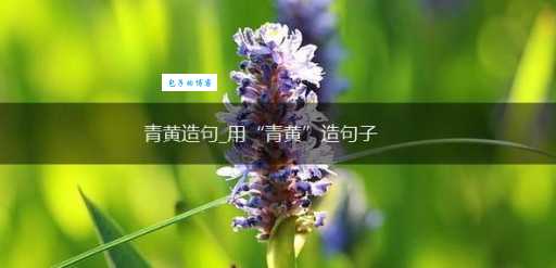 青黄不接什么意思及造句？简单易懂的解释让你快速掌握