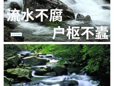 户枢不蠹的不蠹是什么意思?背后的深意你真的知道吗