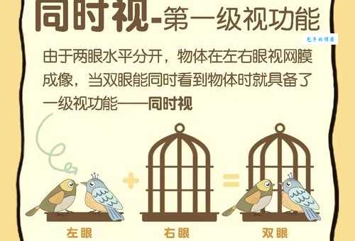 视而不见是什么意思?带你深入了解其中的含义