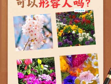 繁花似锦的意思及造句怎么写？中小学生必备的成语知识