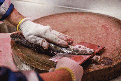 老八辈子的意思解析,教你如何在日常生活中准确使用!