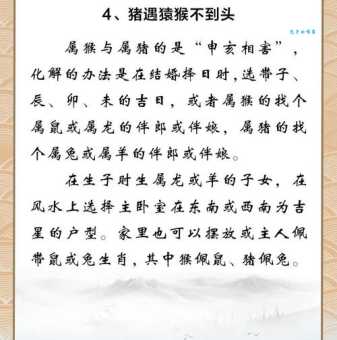 一龙一猪的意思是什么？简单解释这个比喻地位悬殊的词语。