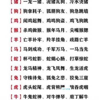 一龙一猪的意思是什么？简单解释这个比喻地位悬殊的词语。