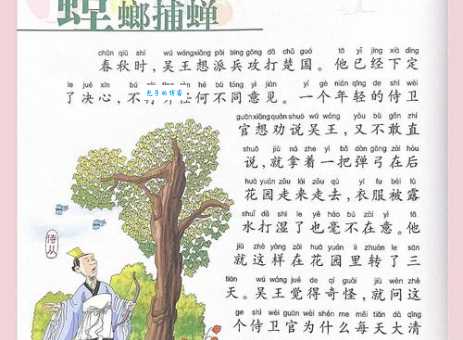 苍蝇碰壁是什么意思及寓意?生活中有哪些常见的例子!