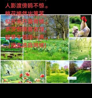 嘴上春风的意思怎么解释？这篇文章讲得非常透彻！