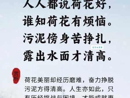 一尘不染是什么意思？它在生活和文学中有什么指代？