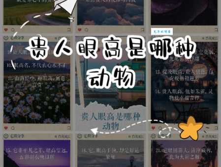 贵人眼高是什么意思？解析这个词在现代生活中的含义