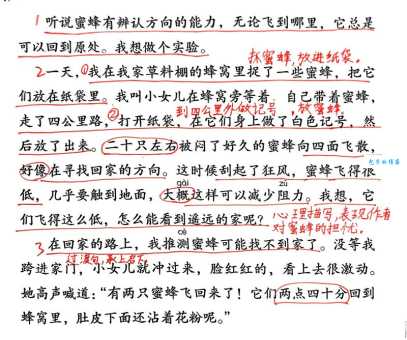 蜂拥而起的意思和近义词,一篇文章带你全面掌握用法