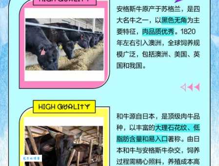 到底黑牛白角是什么意思?简单直白的解释分享给你!