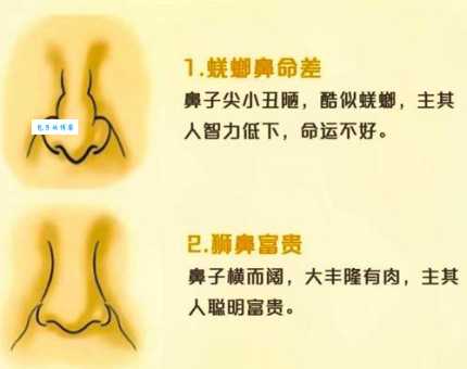 鹰鼻鹞眼是什么意思?带你深入了解这种长相的含义!