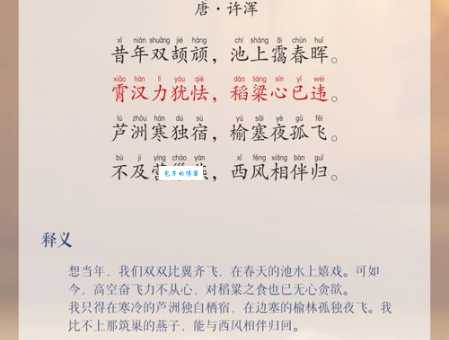 断雁孤鸿的意思及成语出处，不仅是孤独更是意境深远