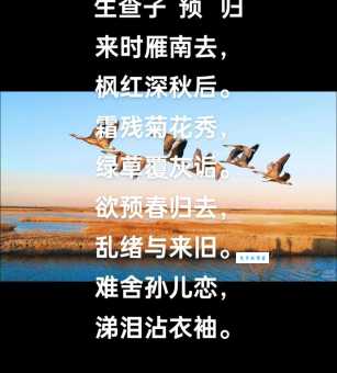 断雁孤鸿的意思及成语出处，不仅是孤独更是意境深远