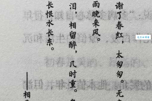 相逢恨晚是什么意思?这个词用来形容感情合适吗