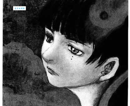 noblesse什么意思怎么读?看完这篇文章你就彻底明白了