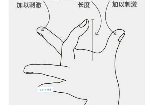 BDG是什么意思及怎么用?简单易懂的详细解释分享给你