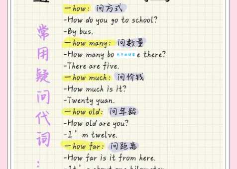 sdo是什么意思？网络术语sdo的多重含义全解析。