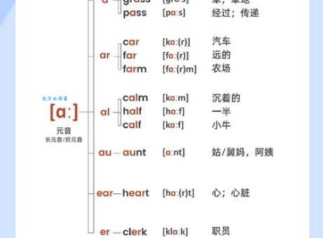 seagull是什么意思及音标？英语大咖为你详细解析词义