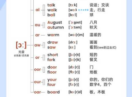 seagull是什么意思及音标？英语大咖为你详细解析词义