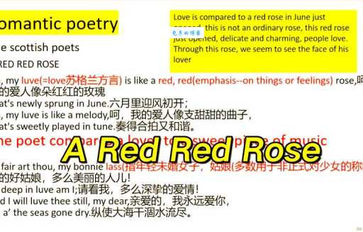 SUCK MY DISK是什么意思啊？一篇文章带你全面了解！