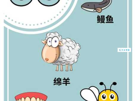 单词deluxe是什么意思？教你如何用这个词描述高端产品