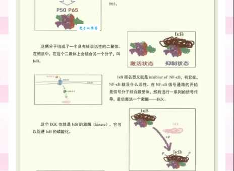inception什么意思？一篇文章带你快速了解它的含义！