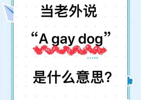 quintus什么意思?一篇文章带你全面了解它的含义!