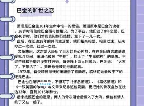 mamba是什么意思？新手快速了解这个词背后的故事