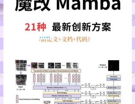 mamba是什么意思？新手快速了解这个词背后的故事