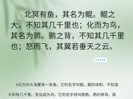 观不见有鸟飞来美在哪里?带你赏析文字中的宁静与孤独